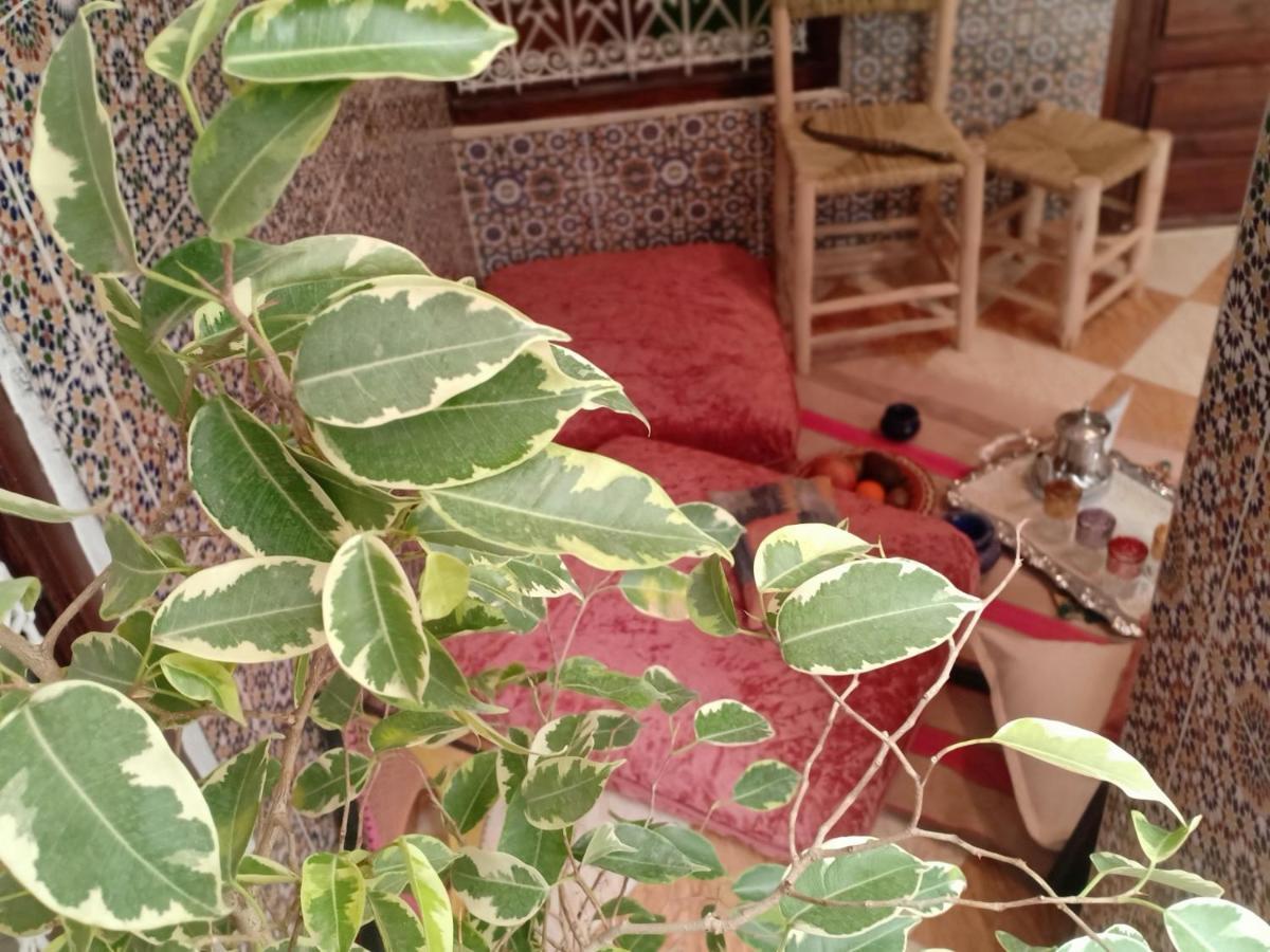 Riad Patrice Марракеш Экстерьер фото